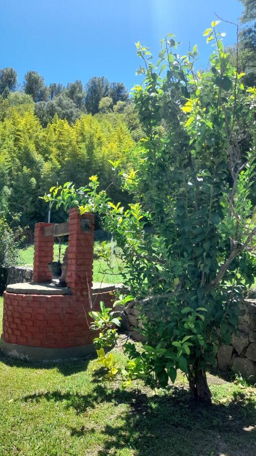 Apart Dany Villa Los Molinos Ngoại thất bức ảnh